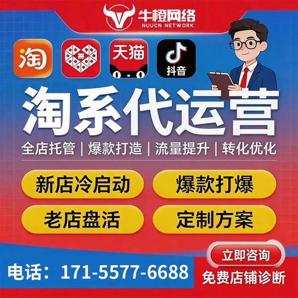 溧阳电商代运营