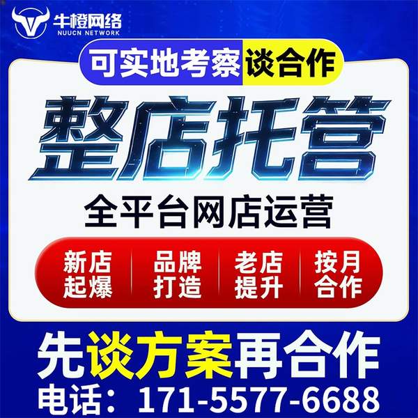 溧阳电商代运营