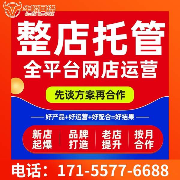 溧阳电商代运营
