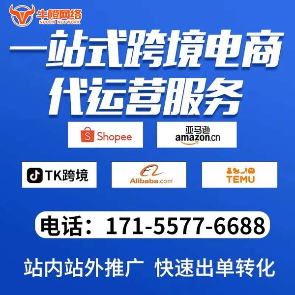 溧阳电商代运营