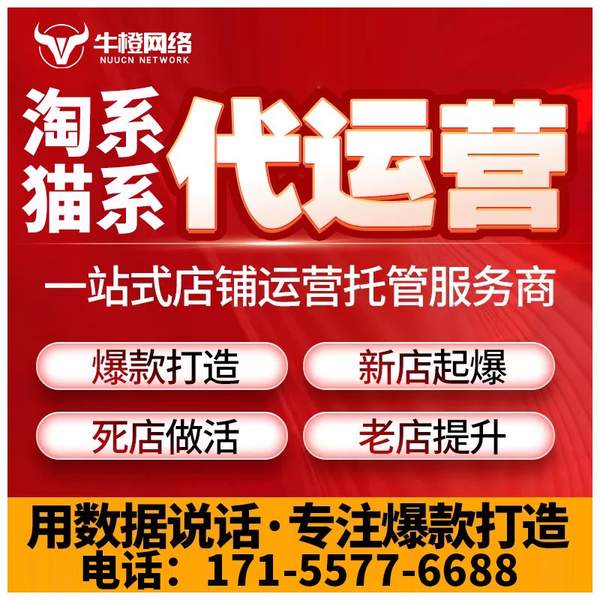 溧阳电商代运营